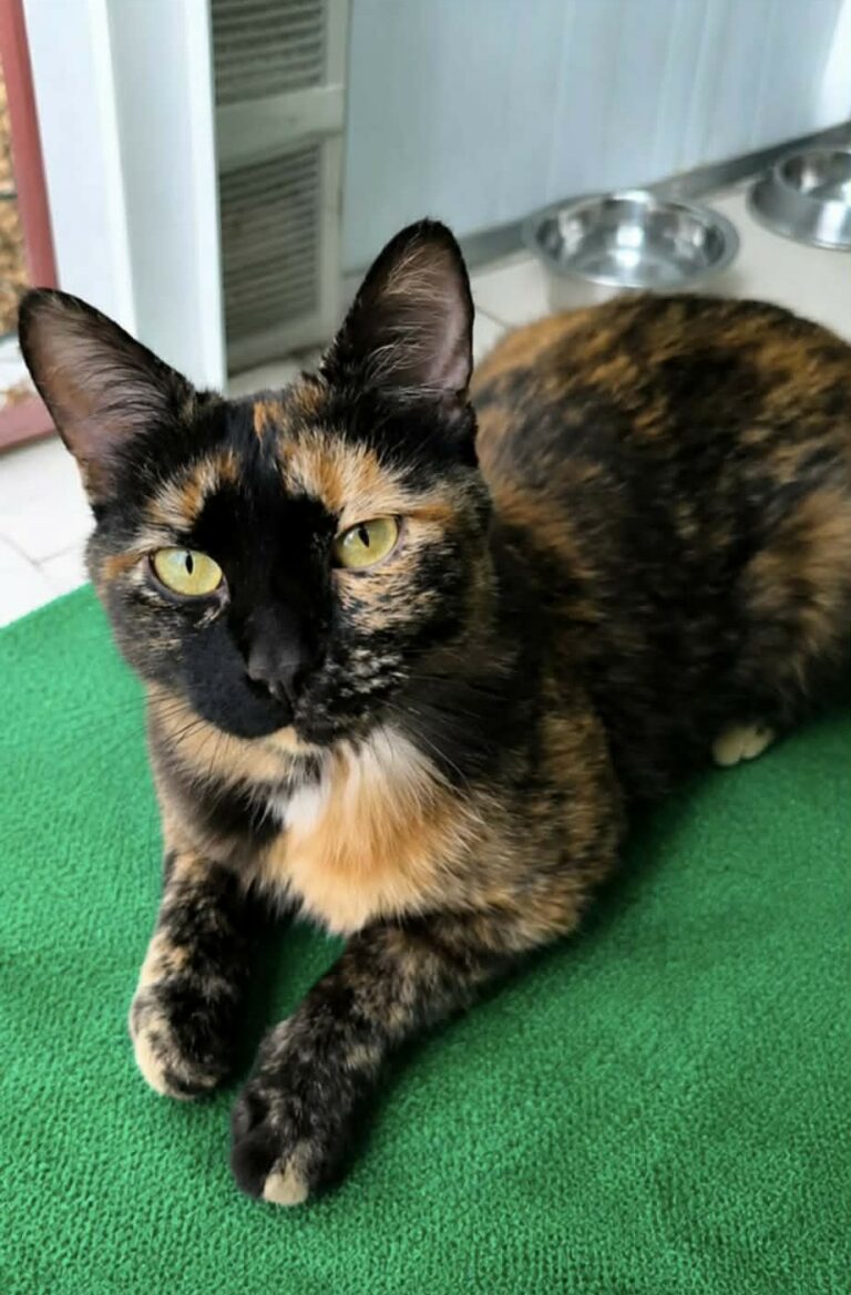 ZAYA (Réservée)