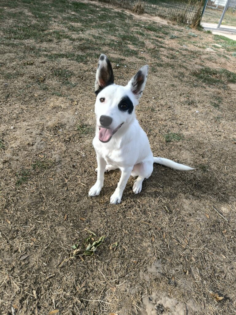 Yumi
